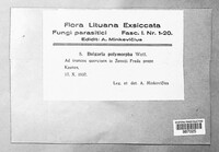 Image Associated With the Occurrence